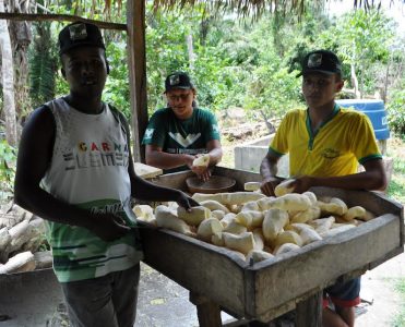 Pequenos produtores produzem farinha durante prática do curso Transformação da mandioca.