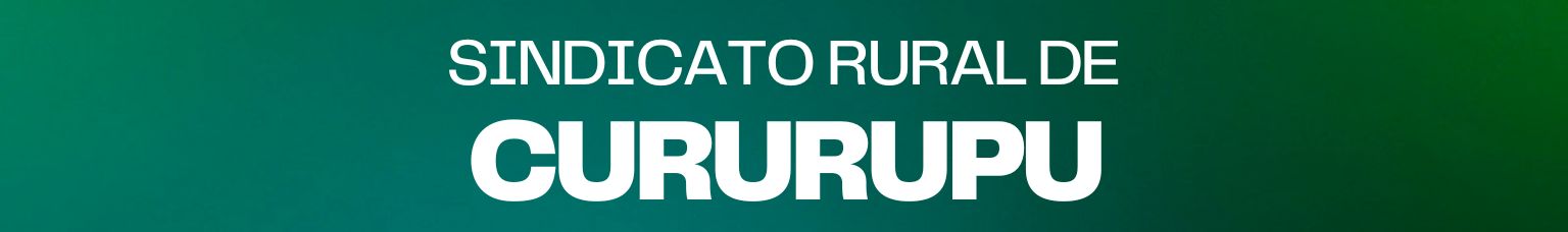 SINDICATO RURAL DE CURURUPU