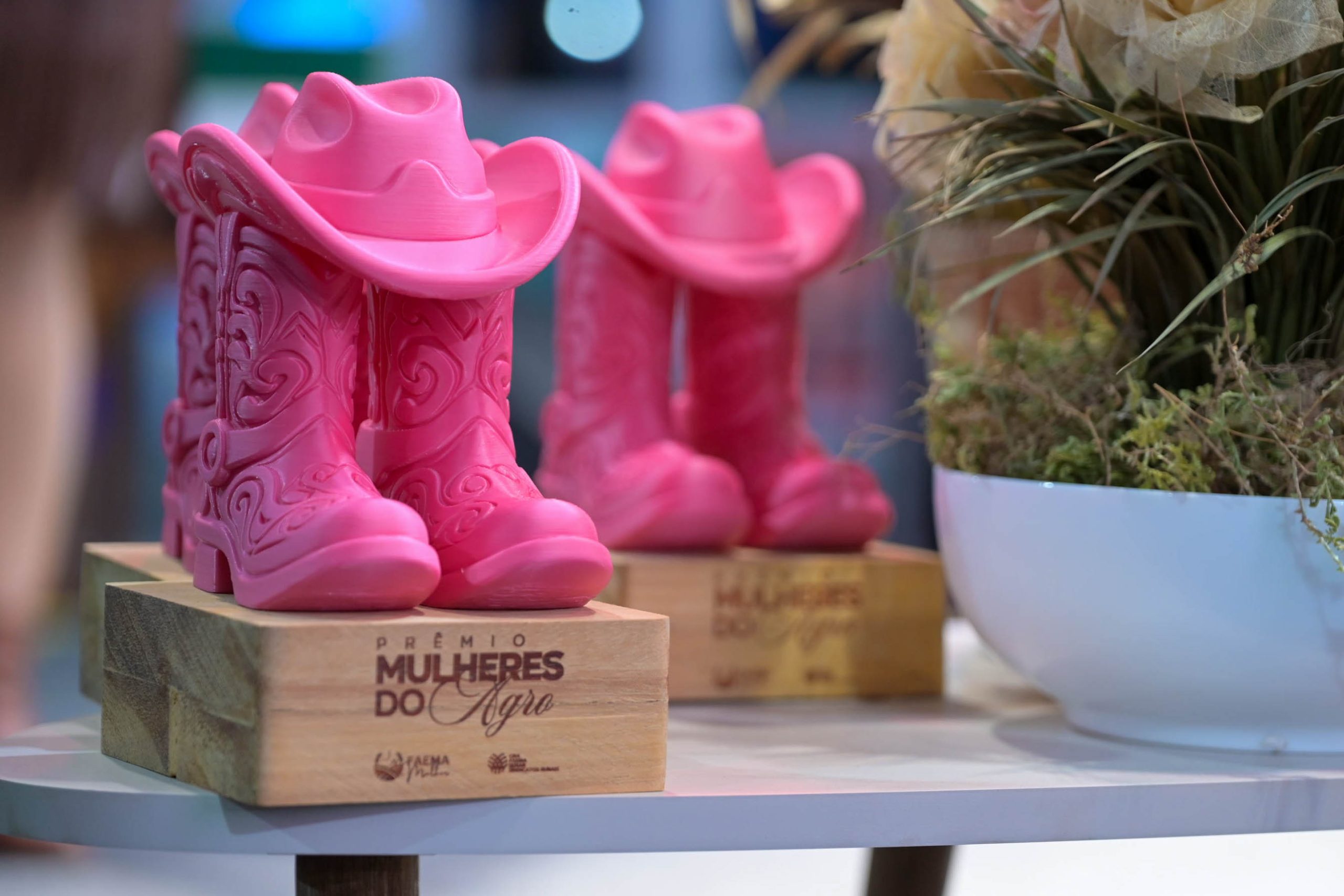 ENCONTRO NA EXPOEMA RECONHECE MULHERES QUE MOVEM O AGRO MARANHENSE