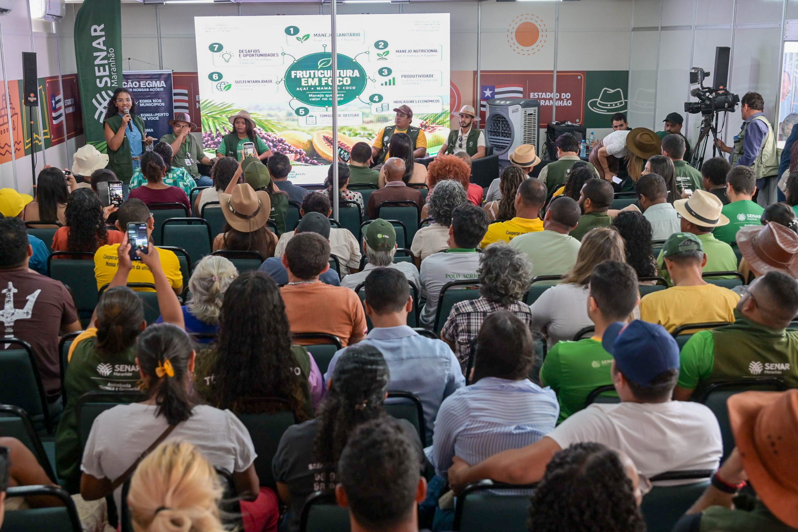Especialistas discutiram manejo, assistência técnica e oportunidades da fruticultura maranhense. 