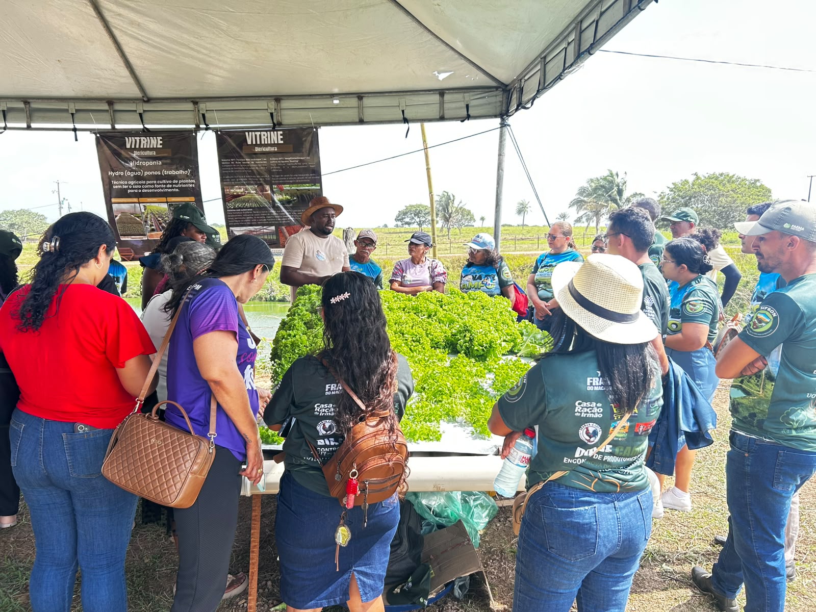 Vitrines tecnológicas foram as grandes atrações do Encontro de Produtores Rurais de Olinda Nova.