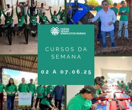 WhatsApp Image 2025-05-29 at 12.20.41